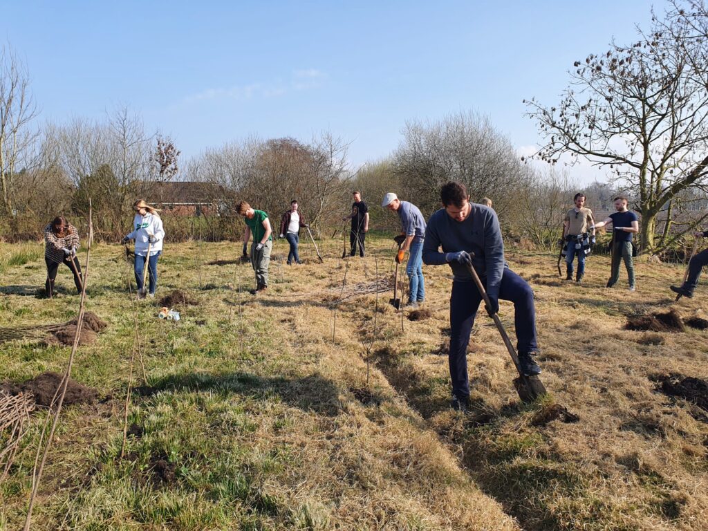 Planting trees for our Springtime Foundation